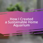 How I Created a Sustainable Home Aquarium