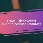 How I Discovered Hidden Marine Habitats