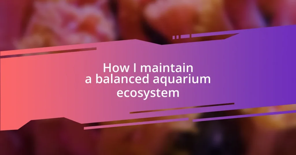 How I maintain a balanced aquarium ecosystem