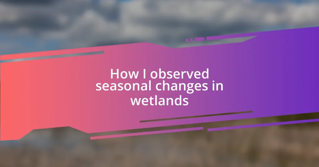 How I observed seasonal changes in wetlands