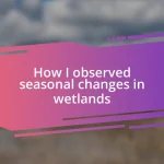 How I observed seasonal changes in wetlands