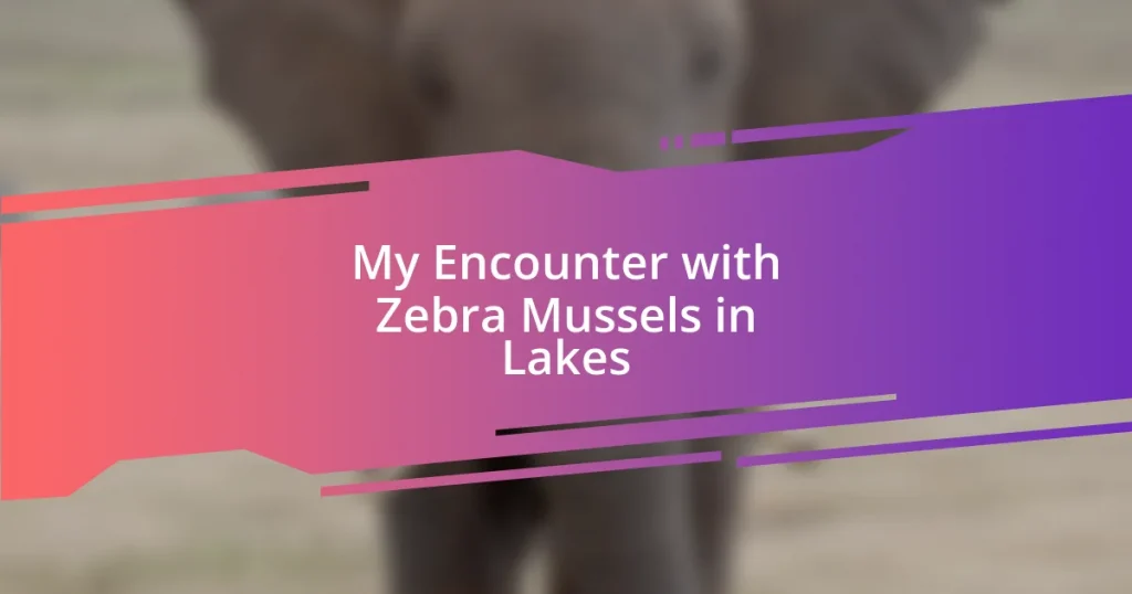 My Encounter with Zebra Mussels in Lakes