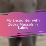 My Encounter with Zebra Mussels in Lakes