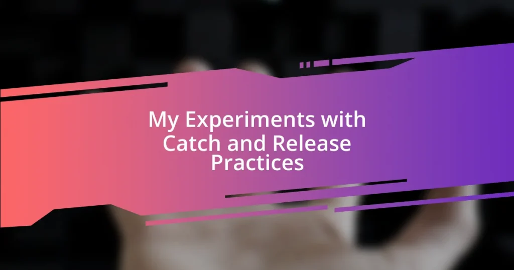 My Experiments with Catch and Release Practices