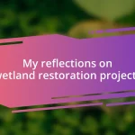 My reflections on wetland restoration projects