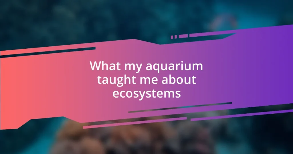 What my aquarium taught me about ecosystems