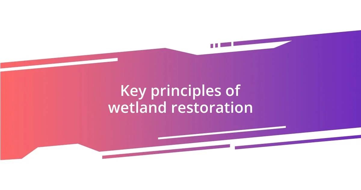 Key principles of wetland restoration